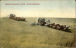 Combined Harvesters in Action, Eastern Washington Farming Postcard Postcard