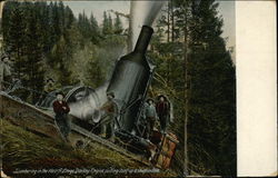 Lumbering in the West-fi Postcard