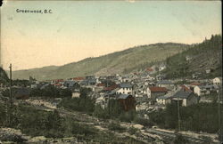General View of Town Postcard