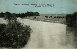 View Along North Platte River Postcard