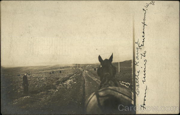 Cattle Range from Mines to Encampment in Wyoming