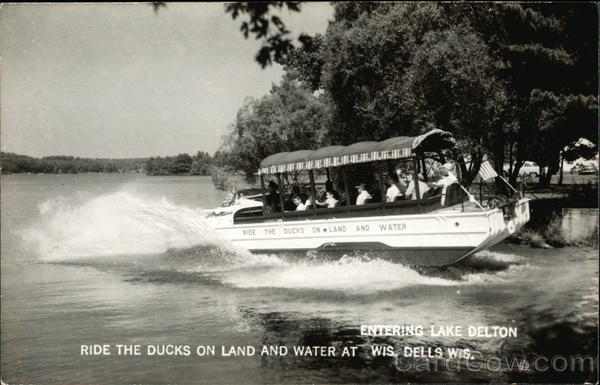 Duck Entering Lake Delton Wisconsin Dells