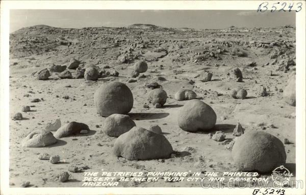 The Petrified Pumpkins in the Painted Desert Between Tuba City and Cameron, Arizona