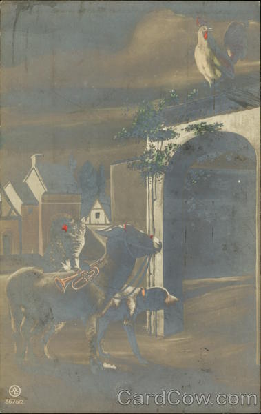 Cat, Dog Donkey Cats