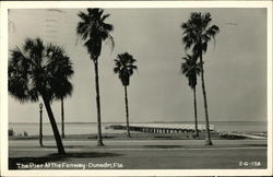 The Pier at the Fenway Dunedin, FL Postcard Postcard