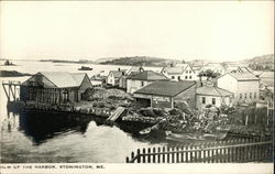 View of the Harbor Stonington, ME Postcard Postcard