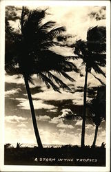 A Storm in the Tropics Postcard