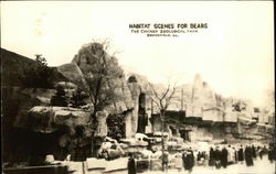 Habitat Scenes for Bears, the Chicago Zoological Park Postcard