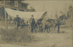 Horse and Mule Pulling A Covered Wagon Postcard