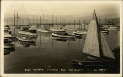 Boat Harbour, Oriental Bay Wellington, New Zealand Postcard Postcard