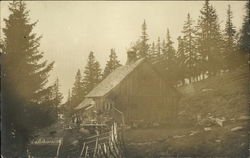 House in Forest on Hill Postcard
