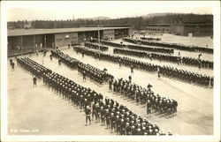 Chow Line Postcard