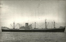 Catalina Star Postcard