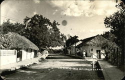 Los Alkededores de C. Valles Postcard