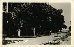 Street Scene Postcard