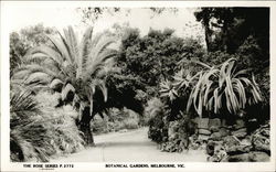 Botanical Gardens Postcard