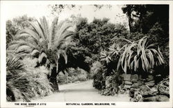 Botanical Gardens Mebourne, Australia Postcard Postcard