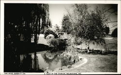 View in The Domain Melbourne, Australia Postcard Postcard