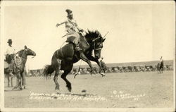 'Bronco Busting' A Pastime in the N.D. Badlands Postcard