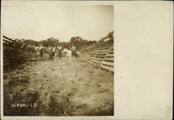 Cattlehands on Horses Postcard