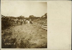 Cattlehands on Horses LeBeau, SD Postcard Postcard