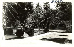 Stock #387244 Thumbnail