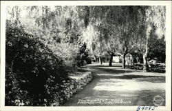 Tournament Park Pasadena, CA Postcard Postcard