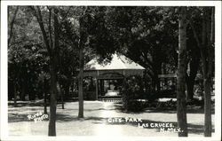 City Park Postcard