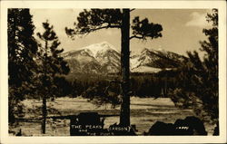 The Peaks and the Pines (Carson) June Lake, CA Postcard Postcard