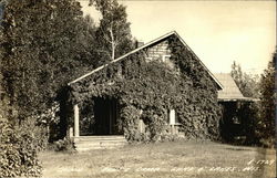 Hill Cabin, Bent's Camp Postcard