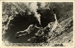 Underwater Theatre at Weekawachee Springs, Florida Underwater Theatre at Weekawachee Springs, Florida