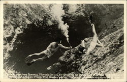 Underwater Theatre at Weekawachee Springs, Florida Weeki Wachee, FL Postcard Postcard