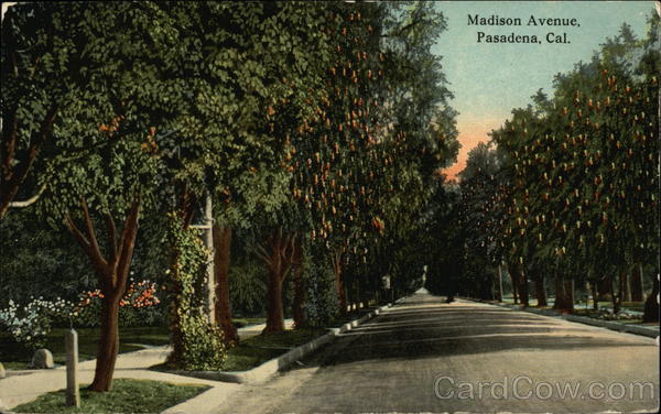 Madison Avenue Street View Pasadena California