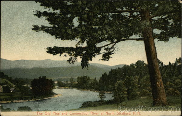 The Old Pine and Connecticut River North Stratford New Hampshire