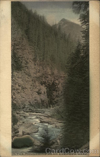 In the Mountains Near Everett Washington
