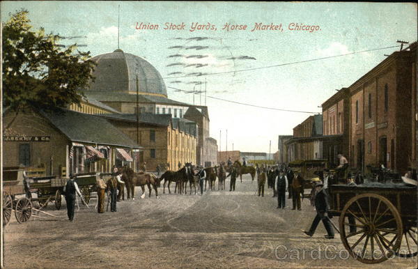 Union Stock Yards, Horse Market Chicago Illinois