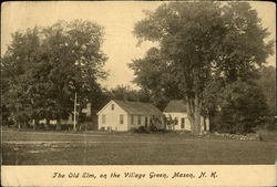 The Old Elm, on the Village Green Postcard