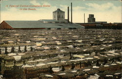 A Typical Cotton Compress Scene in the South Farming Postcard Postcard