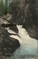 The Gorge, Ditchabush River Postcard