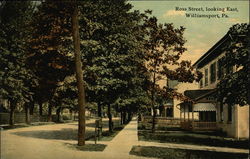Ross Street Looking Est Williamsport, PA Postcard Postcard