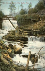 Wenonah Falls Eagles Mere, PA Postcard Postcard