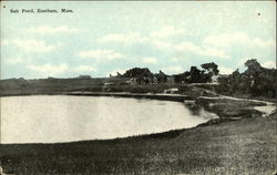 Salt Pond Eastham, MA Postcard Postcard