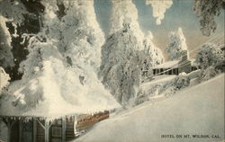 Hotel on Mt. Wilson Postcard