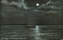Moonlight on the St. Johns River Postcard