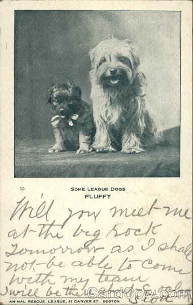 Some League Dogs, Fluffy