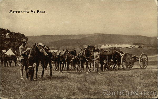 Artillery at Rest Military