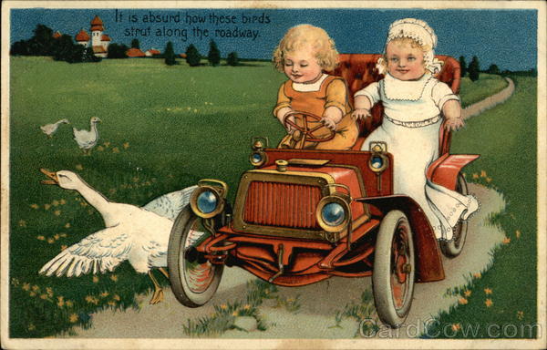 It is Absurd how These Birds Strut Along the Roadway