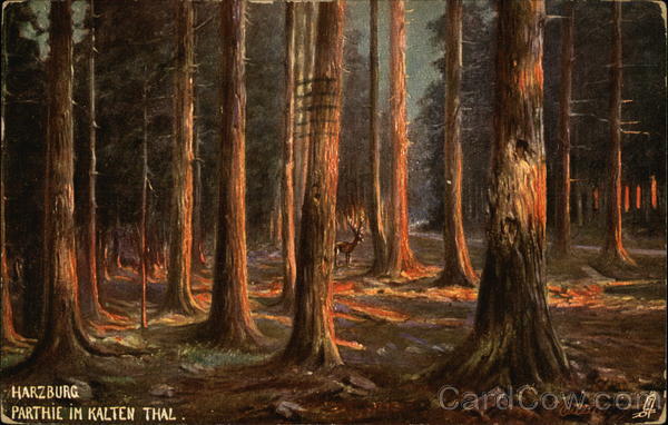 Harz Mountains Harzburg Germany