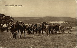 Stock #388821 Thumbnail