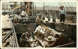 Loading Cotton into Ship's Hold Postcard